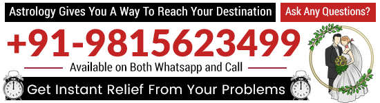 Astrologer Acharya Sandeep Ji